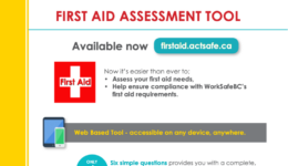 First aid assessment tool