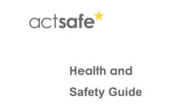 Health-and-safety-guide-for-live-performance-festivals-PDF