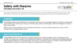 safety with firearms