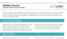 Wildfire Smoke Safety Bulletin