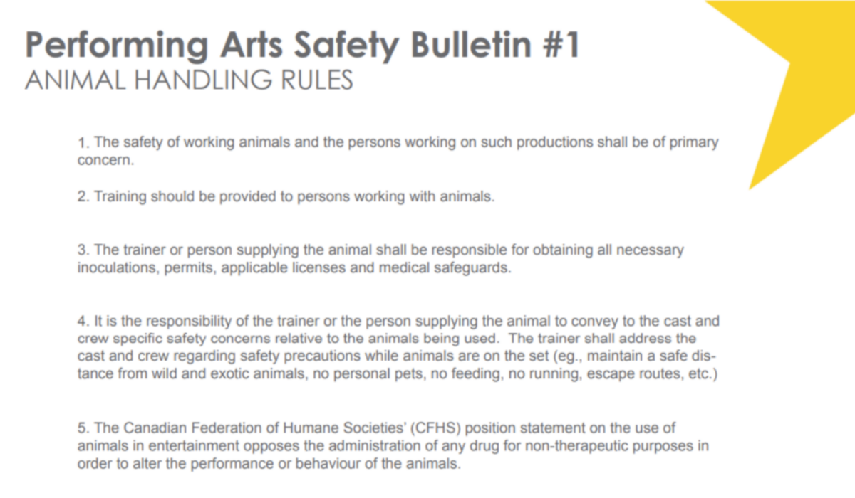 #1 Animal Handling Rules