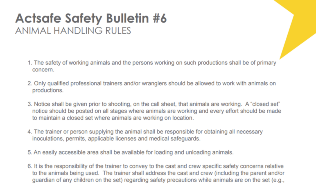 #6 Animal Handling Rules